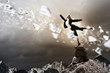businesswoman standing atop of mountain