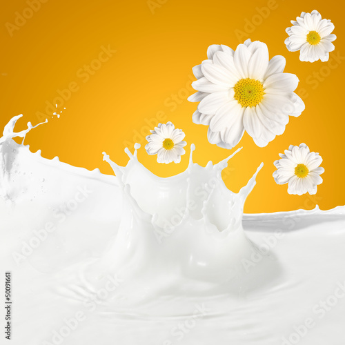 Photo: Fresh milk with camomile Fresh milk with camomile