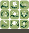 Eco green icon