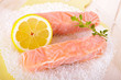 Zwei Lachsfilets