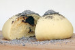 Foto: Germknödel Germknödel
