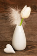 Tulpe und Dekoration