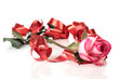 Photo: Red ribbon and roses Red ribbon and roses