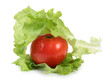 Salad and tomatos