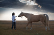 Photo: Horse training Horse training