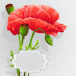 Background With Poppies For Yo...