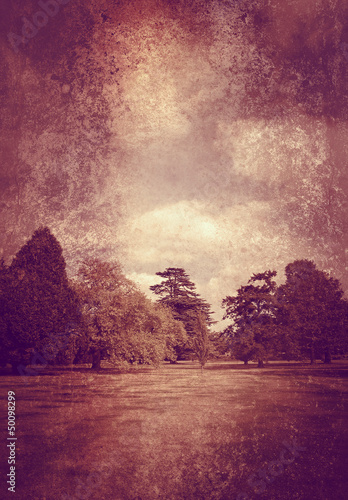 Photo: woodland on textured background woodland on textured background