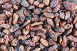 Raisin