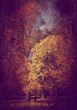 grunge forest