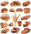 Fresh bread