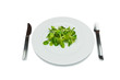 bird salad on a plate, extreme dieting, isolated