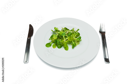 Photo: bird salad on a plate, extreme dieting, isolated bird salad on a plate, extreme dieting, isolated