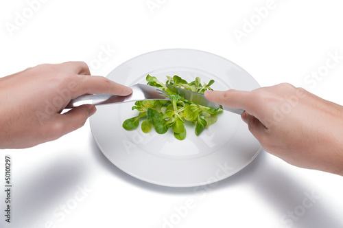 Photo: bird salad on a plate, extreme dieting, isolated bird salad on a plate, extreme dieting, isolated