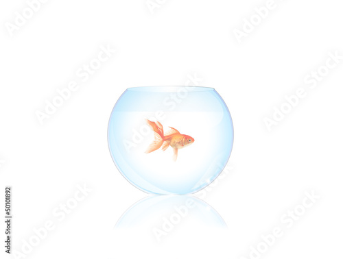 Illustration: bocal poisson rouge bocal poisson rouge