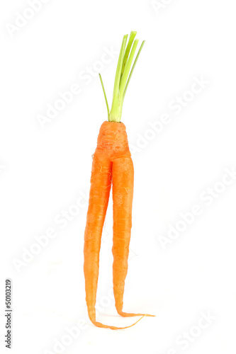 Photo: Karotten-Mutant Karotten-Mutant