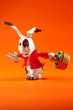 Easter rabbit run
