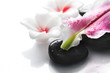 Spa concept