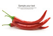 red hot chili pepper isolated on a white background