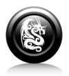 web icon with white dragon