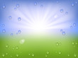 Vector: spring drops background spring drops background