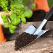 Gartenzeit IV