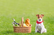 picnic