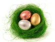 Easter eggs in the green nest