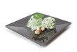 Foto: glace glace