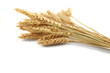 Foto: Stalks of wheat ears Stalks of wheat ears
