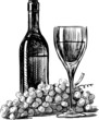 wine and grapes
