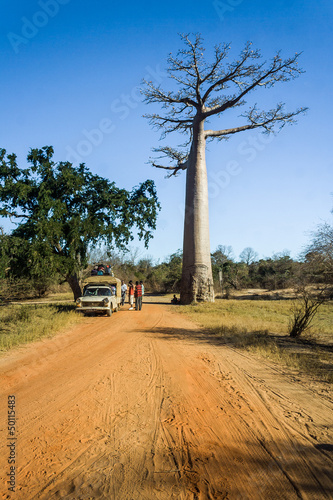 Photo: Bush taxi and baobab Bush taxi and baobab