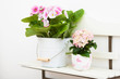 Flowers on a shelf