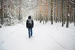Photo: winter wood winter wood