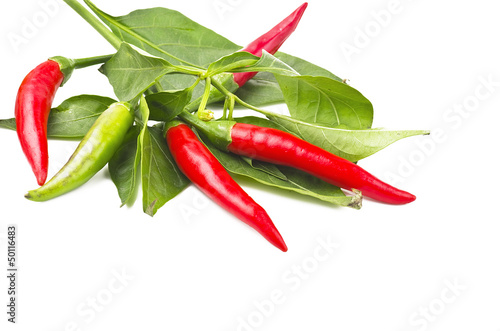Photo: Red hot chili peppers close up on white Red hot chili peppers close up on white