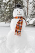 Merry White Snowman with a scarf and a hat