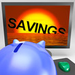 Savings Sinking On Monitor Showing Monetary Loss