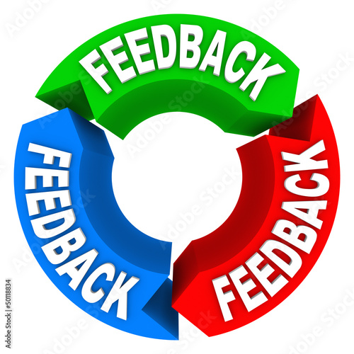 Illustration: Feedback Cycle of Input Opinions Reviews Comments Feedback Cycle of Input Opinions Reviews Comments