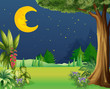 A half moon sleeping