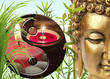 composition zen, Bouddha, Yin-yang, bambou