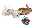 easter rabbits