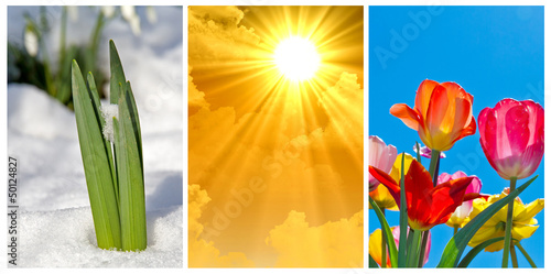Photo: Der Frühling kommt Der Frühling kommt