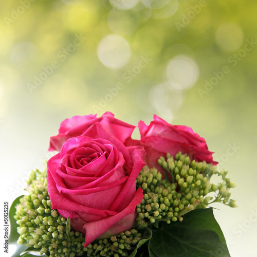 Photo: rosen in pink und frühlingsbokeh rosen in pink und frühlingsbokeh