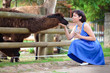 Young attractive woman feeding a lama