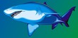 big shark