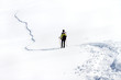 solitaria con racchette da neve