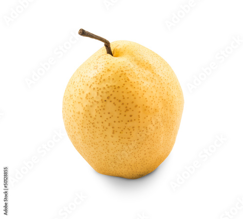 Photo: Chinese pear on white background Chinese pear on white background