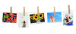 printed photos
