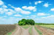 two rural roads to cloudy horizon