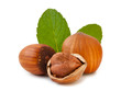 Hazelnuts with leaves_II