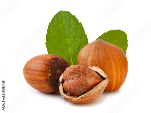 Photo: Hazelnuts with leaves_II Hazelnuts with leaves_II